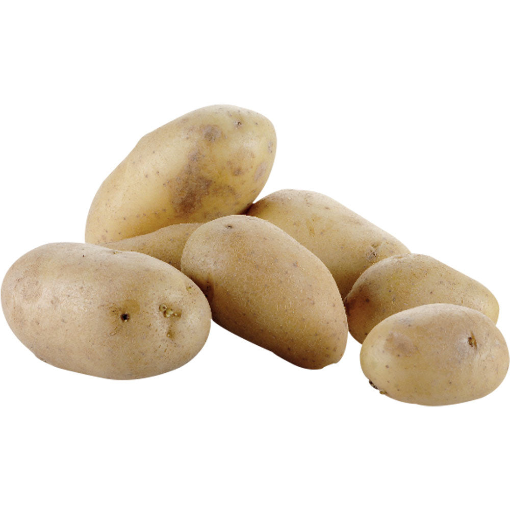 Kartoffelschäler auf Füßen, 18 Kg, Prod. 500 kg/Std. - PPF-18