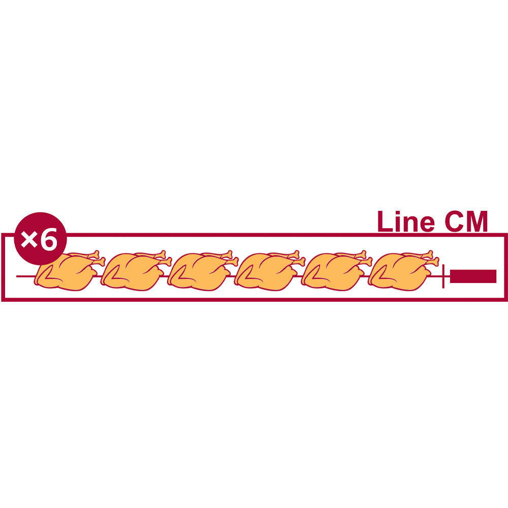 Hähnchengrill Gas, 4 Spieße (24 Hähnchen) - RVG/4-CM