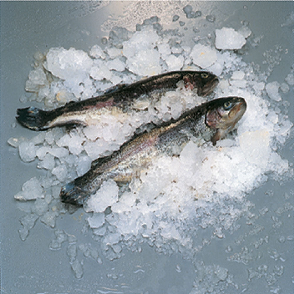 Scherbeneisbereiter 900 Kg ohne Reservebehälter -LUFT - ICE900ISA