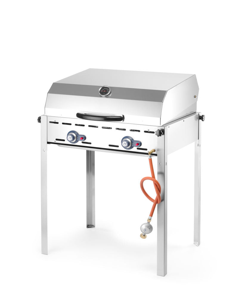 Grillsystem Green Fire 2 Brenner