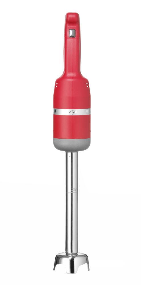 Stabmixer 250, fixe Geschwindigkeit
